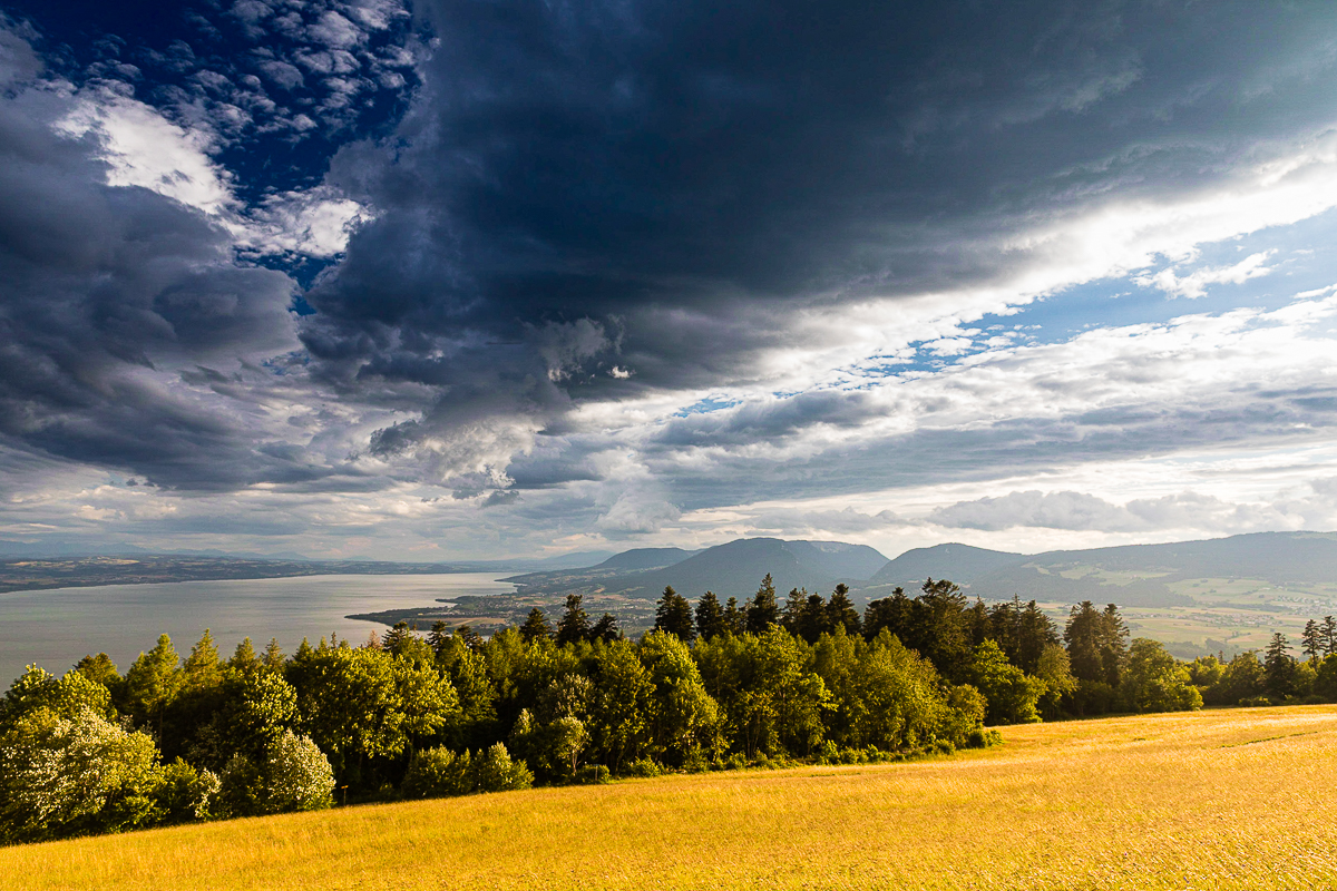 Lac de Neuchâtel depuis Chaumont