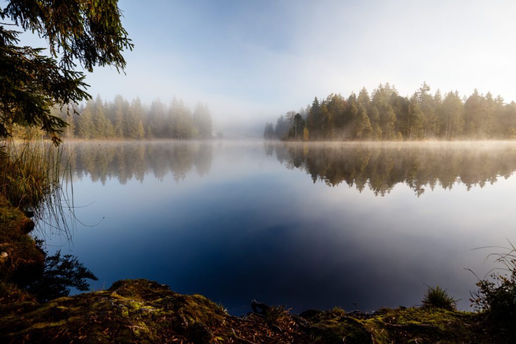 Etang de la Gruère dans les franches-montagnes (JU)