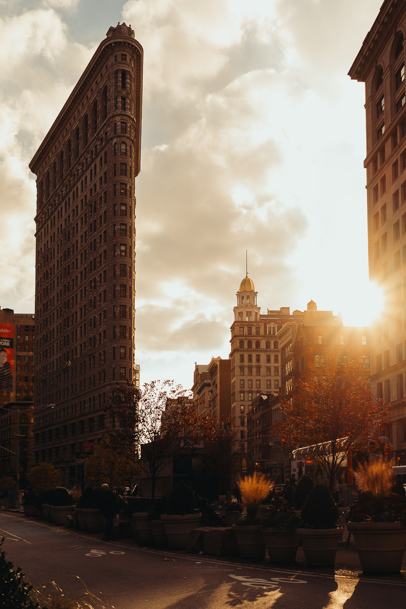 Flat Iron Flat Iron